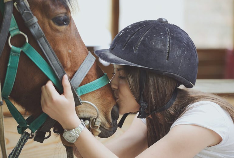 Your Sweating Horse