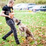 Vytautas S. ir Toris