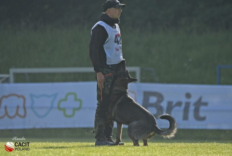 Chaos Plieninė iltis