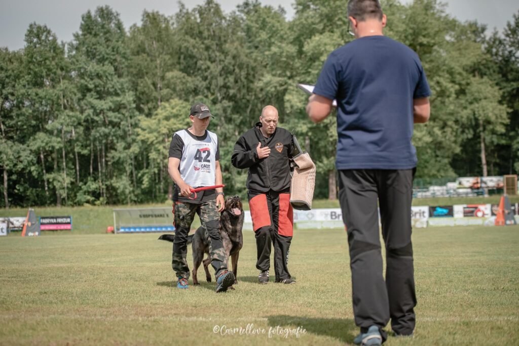 šunų veislė tinka IGP sportui